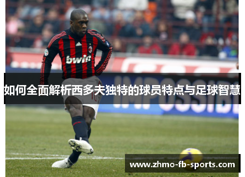 如何全面解析西多夫独特的球员特点与足球智慧