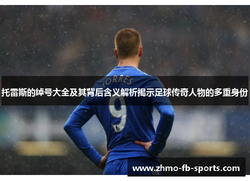 托雷斯的绰号大全及其背后含义解析揭示足球传奇人物的多重身份